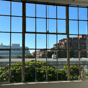 Natural Light & Windows